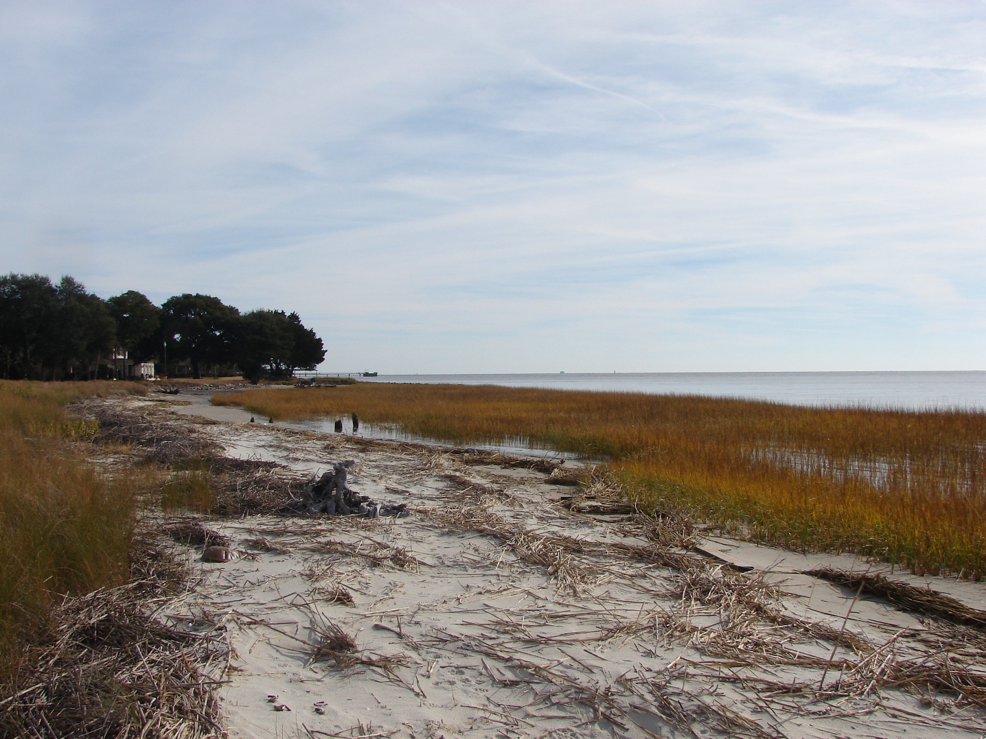 A creek near the shore of an island